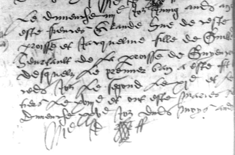 Cliquez pour afficher la transcription